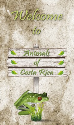 Animals of Costa Rica App